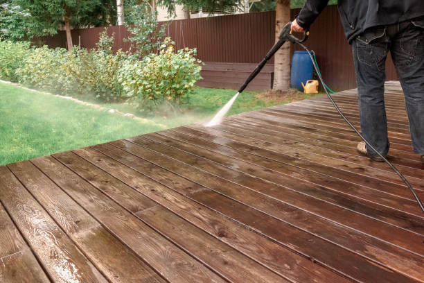 Best Roof Cleaning and Mildew Removal in Herlong, CA